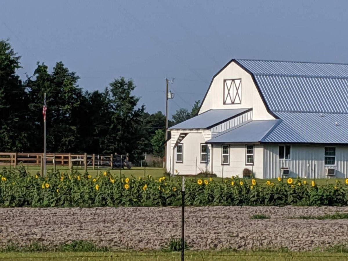 Bunkhouse Farm Stay Fort White Esterno foto